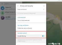 telegram登录不上怎么办的简单介绍