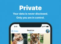 关于Telegram纸飞机英文版的信息