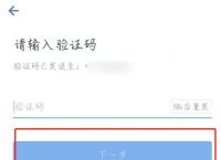 [tp钱包怎么用手机号登录]tp钱包可以在电脑上登录吗