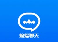 蝙蝠聊天软件公司全称[蝙蝠聊天软件公司全称是什么]