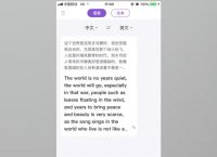 [中英互译翻译app]免费中英文翻译app