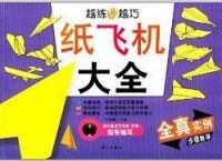纸飞机百度百科的简单介绍