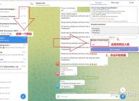 包含Telegram网页的词条