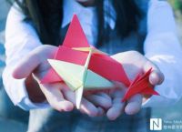 不一样的纸飞机[不一样的纸飞机怎么做]