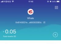 [苹果imtoken怎么下载]imtoken国内苹果版下载教程