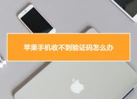 iPhone纸飞机收不到验证短信-纸飞机app为什么我的手机号不发验证码