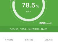 关于玩飞机软件的都是一些什么人2的信息