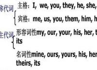 tourists什么词性的简单介绍