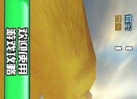纸飞机是啥加速器[纸飞机appnetwork加速器]