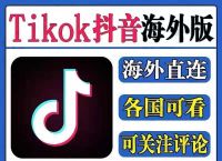包含苹果怎么下载tiktok国际版的词条
