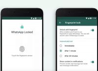 安卓whatsapp日期不正确-whatsapp手机当前日期不正确