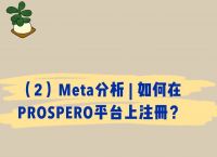 meta官网-rmeta官网
