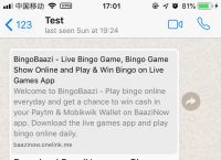 whatsapp不能下载文件-whatsapp无法下载音频为什么?