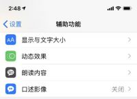 ios飞机app登陆需要设置代理-ios飞机app登陆需要设置代理嘛
