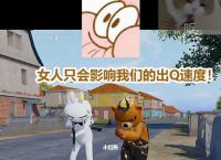 和平精英嗯嗯电报-和平精英报点什么意思