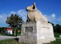 大唐电报猴-大唐电报猴原视频
