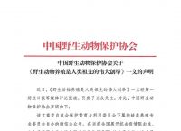 电报公众号-公众电报业务