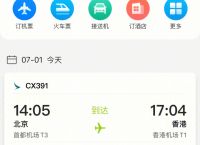 飞机聊天软件苹果手机中文版-苹果手机怎么下载飞机聊天软件