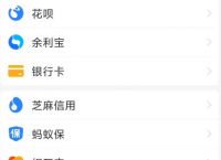 支付宝钱包在哪里找-微信零钱通可以借钱吗