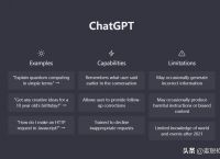 openai的chatgpt-openai的ChatGPT国内禁用吗