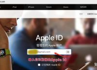 telegreat苹果版下载怎么进去的简单介绍