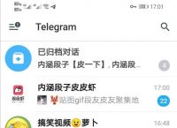 包含聊天软件飞机下载中文版苹果的词条