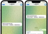 Telegram改语言[telegramios怎么改语言]