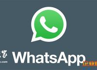 whatsapp安卓能用吗-whatsapp安卓手机可以用吗