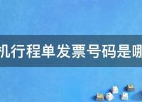 飞机手机号为什么登不上去-飞机手机号为什么登不上去了