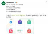 oppo无法下载软件是怎么回事-oppo无法下载软件是怎么回事啊