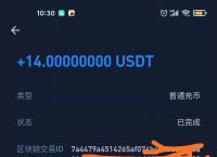 usdt代币地址-usdt代币合约地址查询