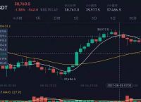 比特币最新价格行情美元实时-比特币现货最新价格走势图美元