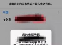 whatsapp无法发送sms验证码-whatsapp我们无法发送sms短信至您的电话号码