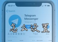 纸飞机设置中文-纸飞机设置中文的方法