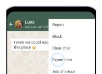 whatsapp聊天记录没有了-whatsapp聊天记录可以找回吗