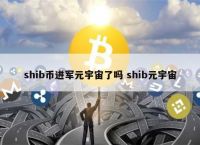 shib币最新消息-shib币最新消息热议