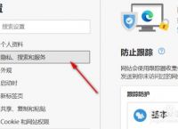浏览器不能搜索-浏览器不能搜索怎么办