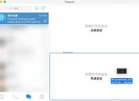 包含telegram如何打开成人设置的词条