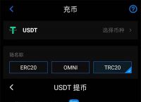 usdt币合法吗-深度解析usdt交易中国合法吗?