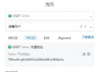 usdt充值网-usdt充值网络选哪个