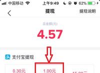 bitpie怎么提现到支付宝-bitpie怎么提现到支付宝视频