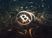 比特派官网app,比特派官网首页登录