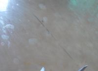 纸飞机使用教程,纸飞机telegeram加速器