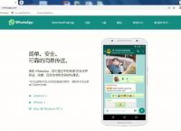 whatsapp安卓可以用吗,whatsapp安卓手机可以下载吗