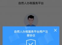 下载个人所得税app免费下载安装,下载个人所得税app免费下载安装2020