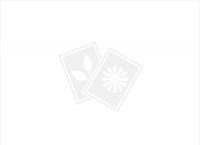 最新钱包下载地址APP,钱包app下载安装安卓版