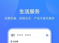 vivo钱包借钱安全吗,vivo钱包借钱可靠吗?