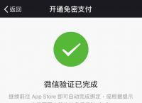 苹果下载不了app微信支付被了拒,苹果绑定微信支付被拒绝下载不了软件