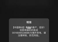 whatsapp无法发送验证短信,whatsapp无法发送验证短信怎么办
