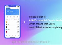 包含tokenpocket钱包交易记录可以隐藏吗的词条